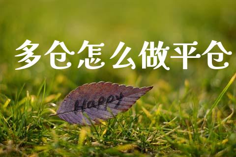 多仓怎么做平仓_https://wap.hpmsj.cn_基金分析_第1张