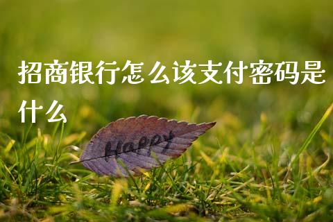 招商银行怎么该支付密码是什么_https://wap.hpmsj.cn_金融机构_第1张