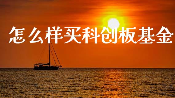 怎么样买科创板基金_https://wap.hpmsj.cn_金融机构_第1张