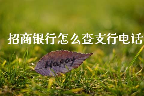 招商银行怎么查支行电话_https://wap.hpmsj.cn_金融机构_第1张