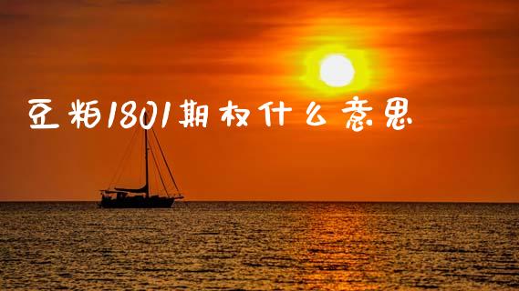 豆粕1801期权什么意思_https://wap.hpmsj.cn_期货交易_第1张