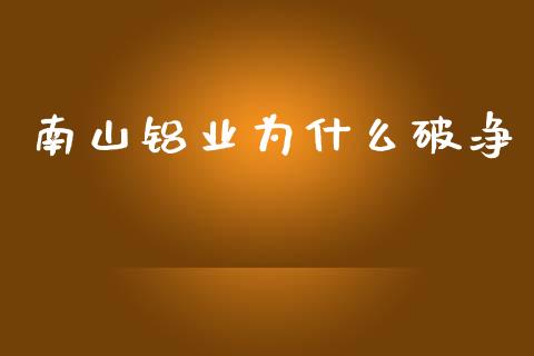南山铝业为什么破净_https://wap.hpmsj.cn_基金分析_第1张