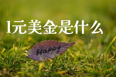 l元美金是什么_https://wap.hpmsj.cn_金融机构_第1张