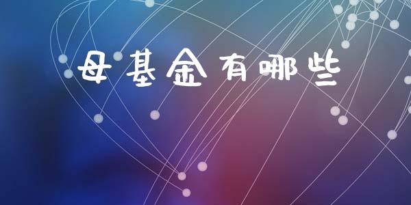 母基金有哪些_https://wap.hpmsj.cn_期货交易_第1张