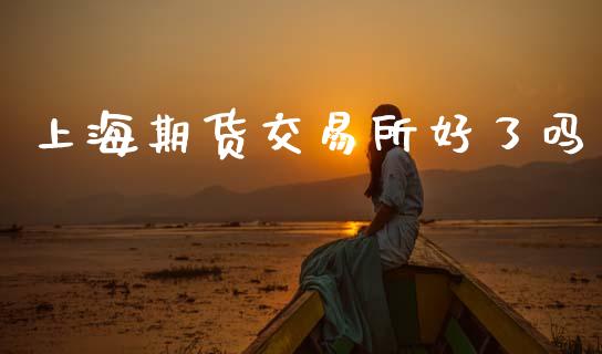 上海期货交易所好了吗_https://wap.hpmsj.cn_基金分析_第1张