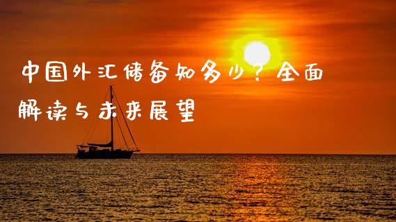 中国外汇储备知多少?全面解读与未来展望_金融机构_第1张_财经时评_基金分析_期货交易_金融机构_外汇汇率_债券投资 中国外汇储备知多少?全面解读与未来展望_https://wap.hpmsj.cn_金融机构_第1张