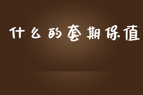 什么的套期保值_https://wap.hpmsj.cn_债券投资_第1张