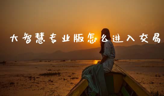大智慧专业版怎么进入交易_https://wap.hpmsj.cn_债券投资_第1张
