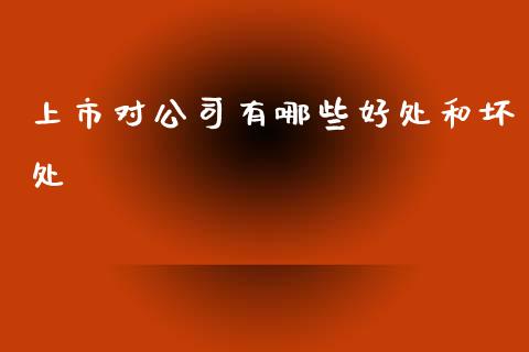 上市对公司有哪些好处和坏处_https://wap.hpmsj.cn_金融机构_第1张