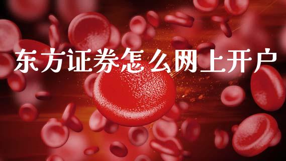 东方证券怎么网上开户_https://wap.hpmsj.cn_基金分析_第1张