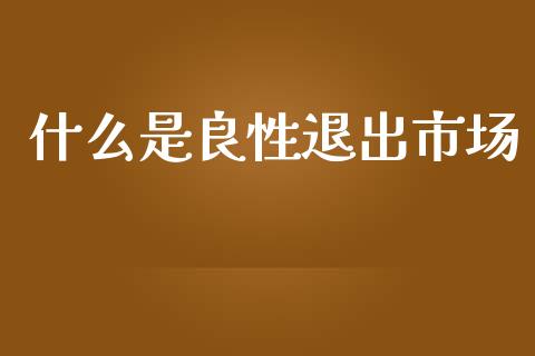 什么是良性退出市场_https://wap.hpmsj.cn_基金分析_第1张