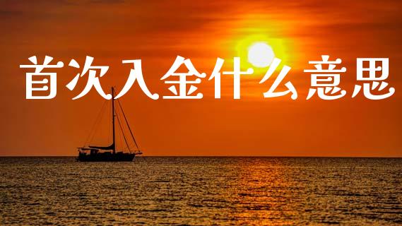 首次入金什么意思_https://wap.hpmsj.cn_外汇汇率_第1张