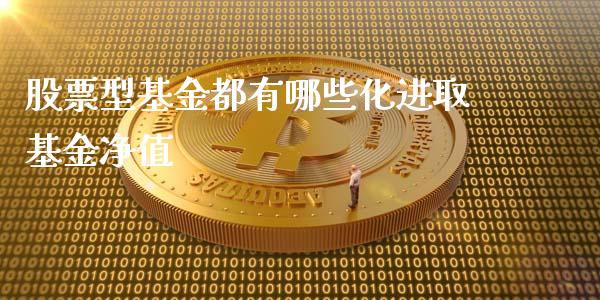 股票型基金都有哪些化进取基金净值_https://wap.hpmsj.cn_财经时评_第1张