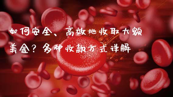 如何安全、高效地收取大额美金?多种收款方式详解_金融机构_第1张_财经时评_基金分析_期货交易_金融机构_外汇汇率_债券投资 如何安全、高效地收取大额美金?多种收款方式详解_https://wap.hpmsj.cn_金融机构_第1张