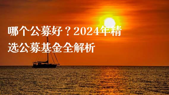 哪个公募好?2024年精选公募基金全解析_基金分析_第1张_财经时评_基金分析_期货交易_金融机构_外汇汇率_债券投资 哪个公募好?2024年精选公募基金全解析_https://wap.hpmsj.cn_基金分析_第1张