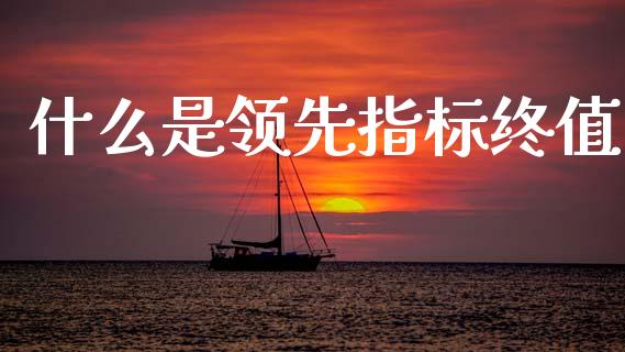 什么是领先指标终值_https://wap.hpmsj.cn_期货交易_第1张