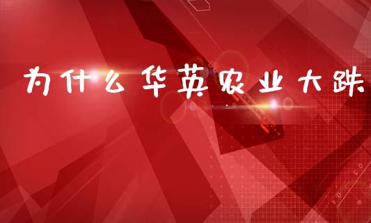 为什么华英农业大跌_https://wap.hpmsj.cn_财经时评_第1张