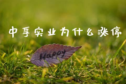 中孚实业为什么涨停_https://wap.hpmsj.cn_期货交易_第1张
