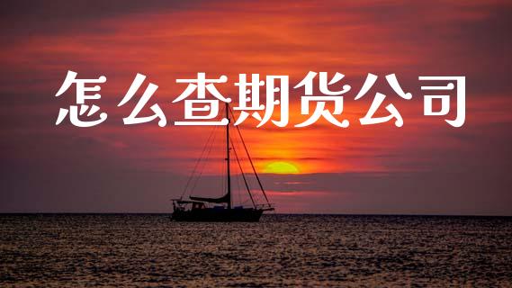 怎么查期货公司_https://wap.hpmsj.cn_基金分析_第1张
