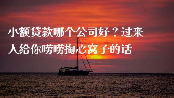 小额贷款哪个公司好？过来人给你唠唠掏心窝子的话_https://wap.hpmsj.cn_基金分析_第1张