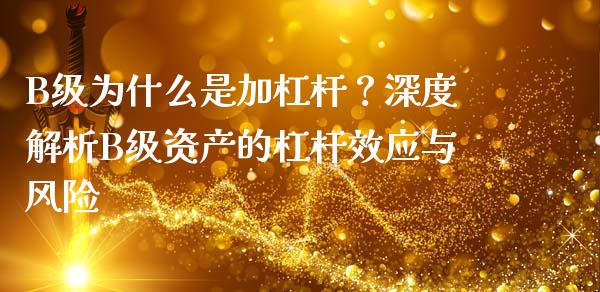 B级为什么是加杠杆？深度解析B级资产的杠杆效应与风险_https://wap.hpmsj.cn_外汇汇率_第1张