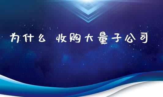 为什么 收购大量子公司_https://wap.hpmsj.cn_外汇汇率_第1张