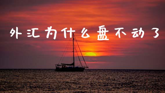 外汇为什么盘不动了_https://wap.hpmsj.cn_基金分析_第1张