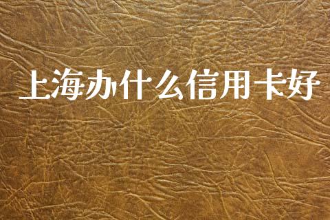 上海办什么信用卡好_https://wap.hpmsj.cn_财经时评_第1张