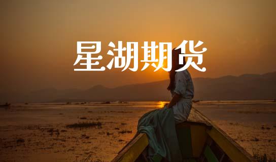 星湖期货_https://wap.hpmsj.cn_基金分析_第1张