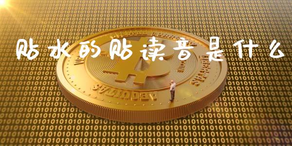 贴水的贴读音是什么_https://wap.hpmsj.cn_外汇汇率_第1张