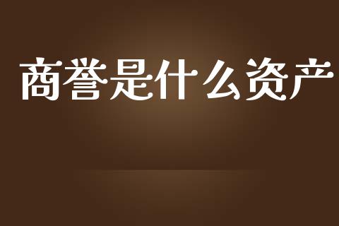 商誉是什么资产_https://wap.hpmsj.cn_债券投资_第1张