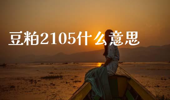 豆粕2105什么意思_财经时评_第1张_财经时评_基金分析_期货交易_金融机构_外汇汇率_债券投资 豆粕2105什么意思_https://wap.hpmsj.cn_财经时评_第1张
