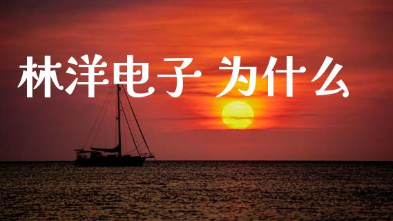 林洋电子 为什么_https://wap.hpmsj.cn_债券投资_第1张