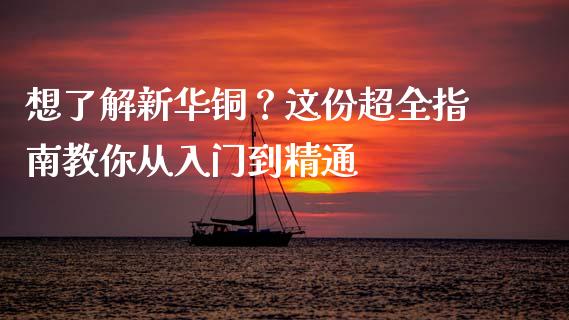 想了解新华铜？这份超全指南教你从入门到精通_https://wap.hpmsj.cn_外汇汇率_第1张