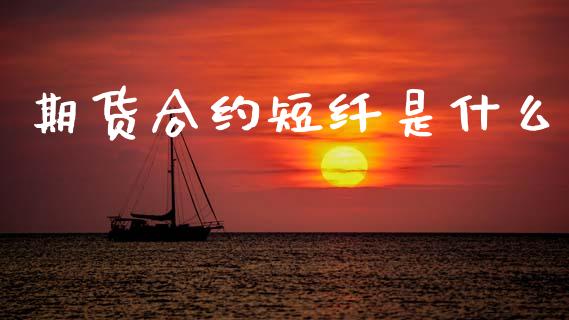 期货合约短纤是什么_财经时评_第1张_财经时评_基金分析_期货交易_金融机构_外汇汇率_债券投资 期货合约短纤是什么_https://wap.hpmsj.cn_财经时评_第1张