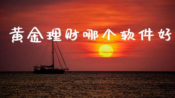 黄金理财哪个软件好_https://wap.hpmsj.cn_外汇汇率_第1张
