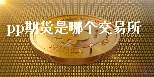 pp期货是哪个交易所_https://wap.hpmsj.cn_外汇汇率_第1张