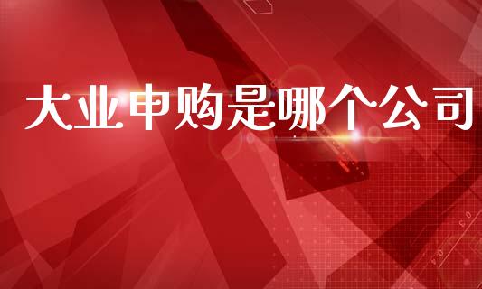大业申购是哪个公司_https://wap.hpmsj.cn_外汇汇率_第1张