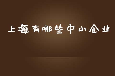 上海有哪些中小企业_https://wap.hpmsj.cn_外汇汇率_第1张