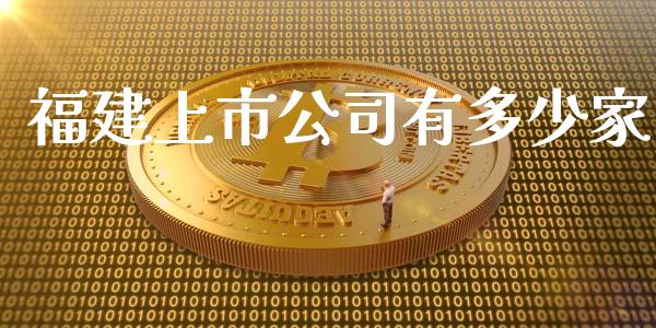福建上市公司有多少家_https://wap.hpmsj.cn_基金分析_第1张