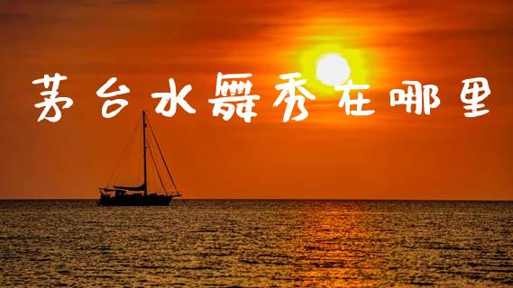 茅台水舞秀在哪里_https://wap.hpmsj.cn_期货交易_第1张